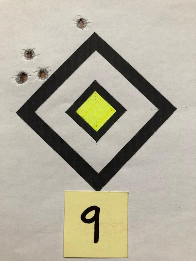 GGG 55gr FMJ